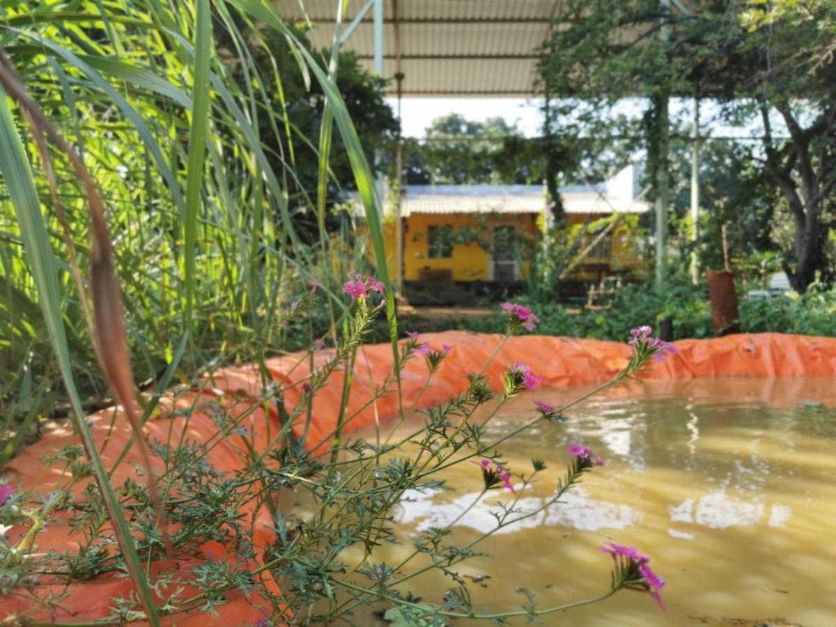 Hornbill Farm Resort Haïdarabad Extérieur photo