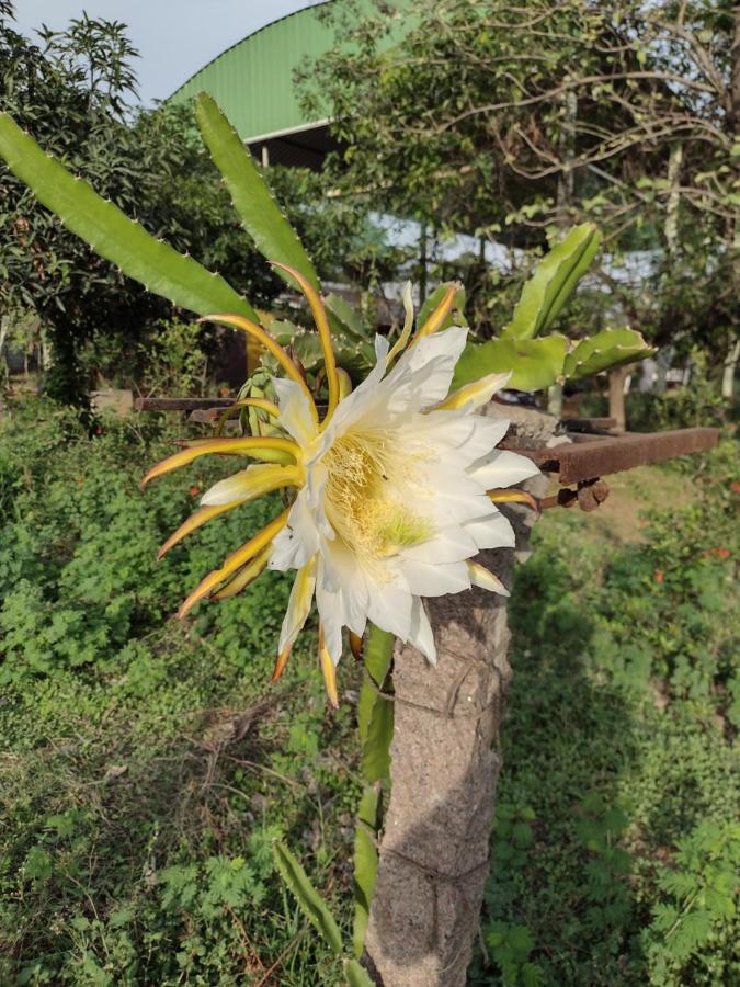 Hornbill Farm Resort Haïdarabad Extérieur photo
